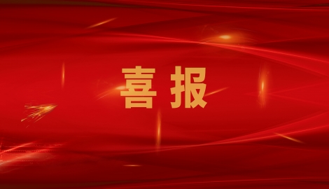 熱烈祝賀我公司通過(guò)山東省制造業(yè)單項(xiàng)冠軍企業(yè)復(fù)核！